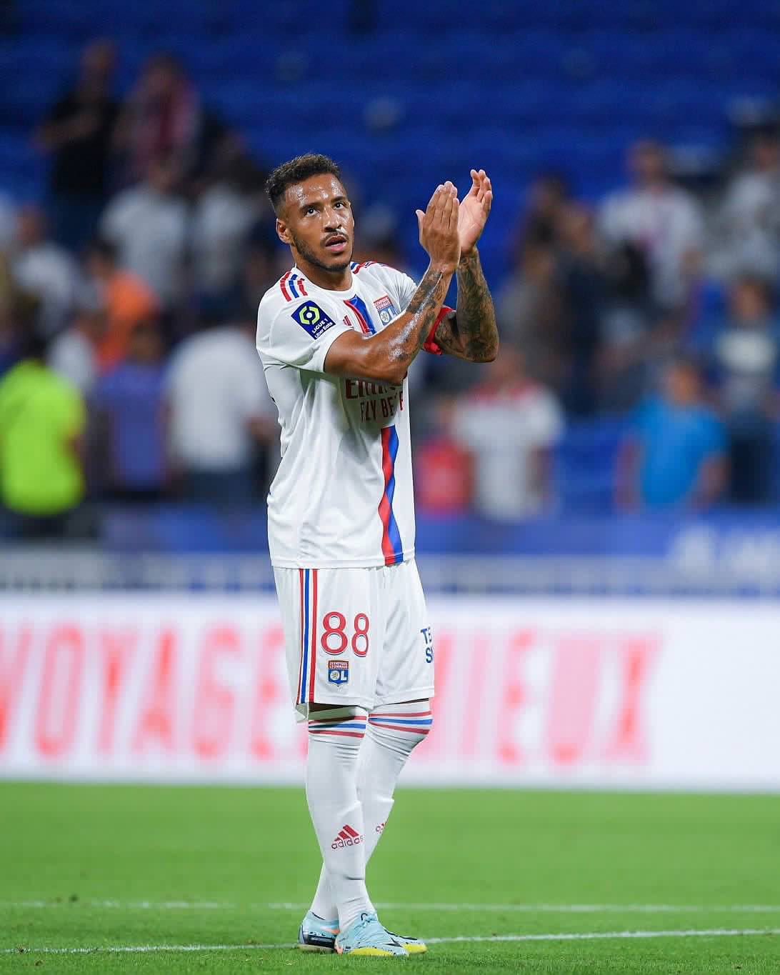 的理性解 的理性解